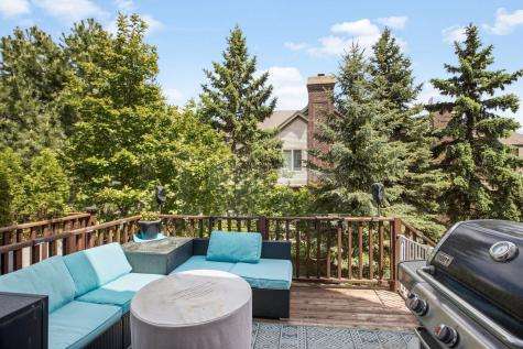 21889 West Talia Lane Deer Park IL 60010