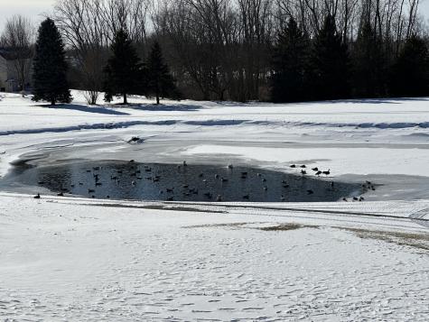 610 Golfers Lane Bartlett IL 60103