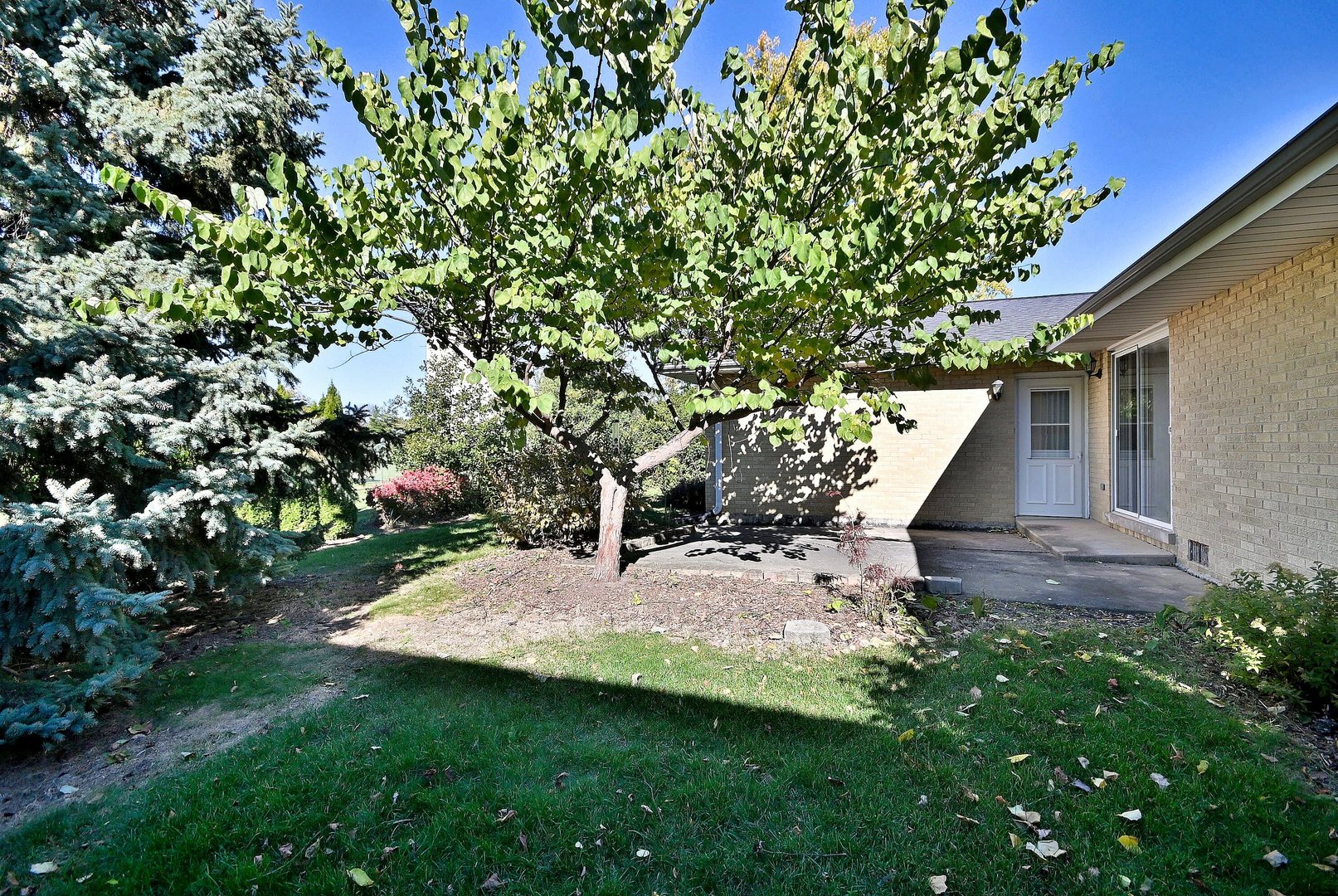 6730 Charleston Drive Darien IL 60561