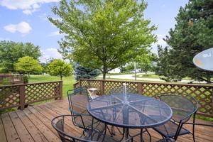 213 Fox Run Drive Elwood IL 60421