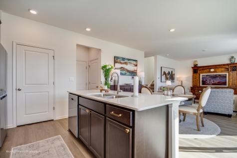 17236 Munster Lane Tinley Park IL 60477