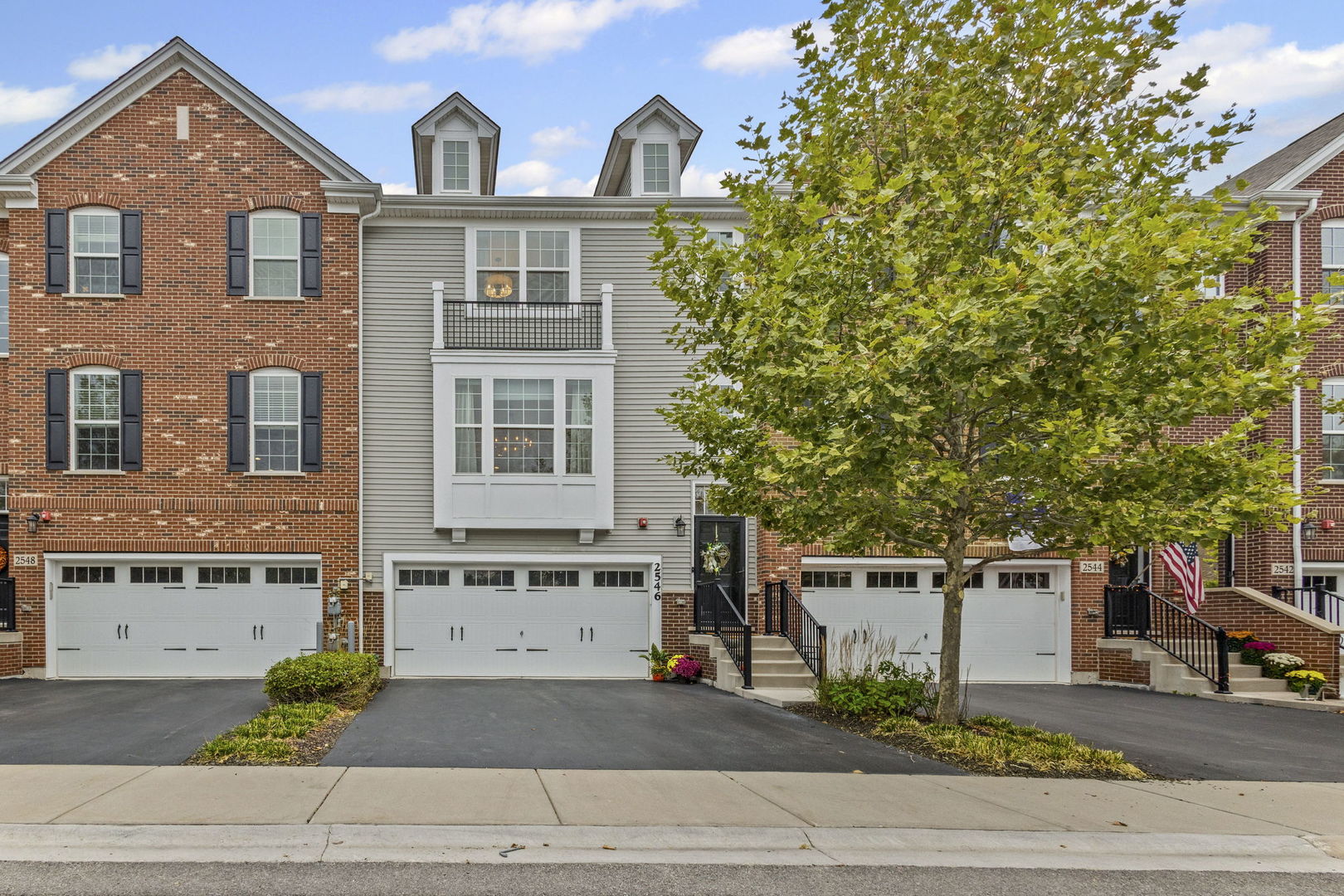 2546 Huntleigh Lane Woodridge IL 60517