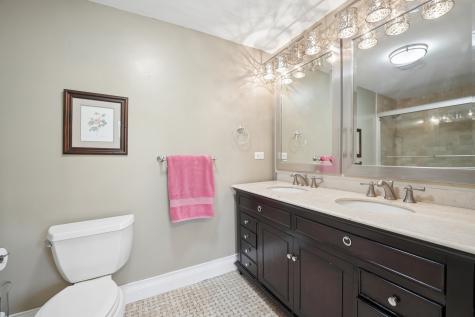 21063 North Middleton Drive Kildeer IL 60047