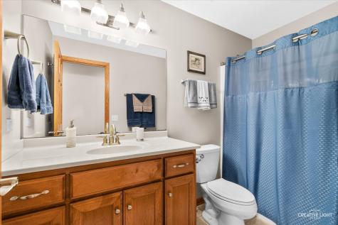 26634 West Dorothy Court Channahon IL 60410