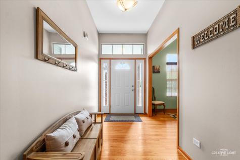26634 West Dorothy Court Channahon IL 60410