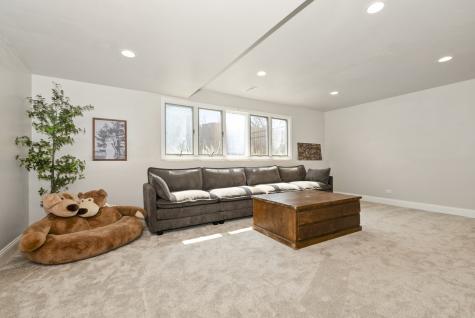20148 South Greenfield Lane Frankfort IL 60423