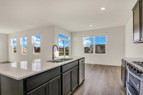 1235 Tiger Lily Drive Bartlett IL 60103