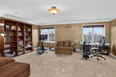 1 Crenshaw Court Bolingbrook IL 60490