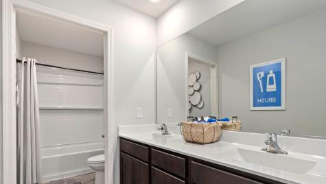 995 Sapphire Lane Montgomery IL 60538