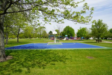 1820 Nicholson Drive Hoffman Estates IL 60192