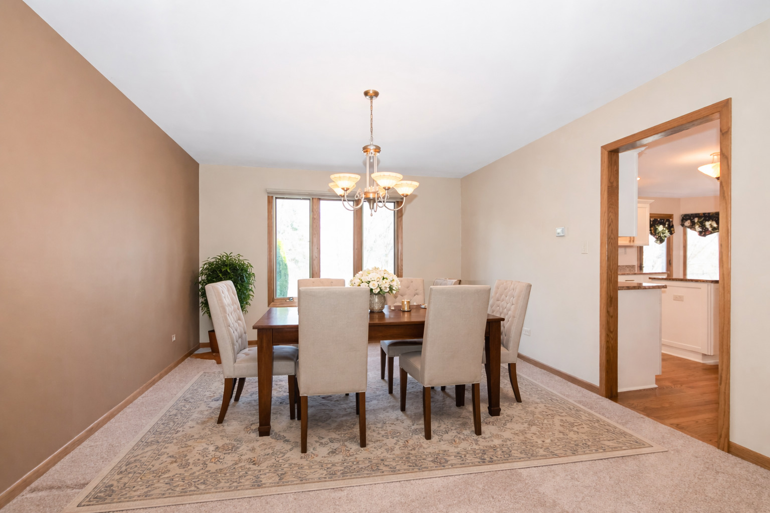 10924 Beth Drive Orland Park IL 60467