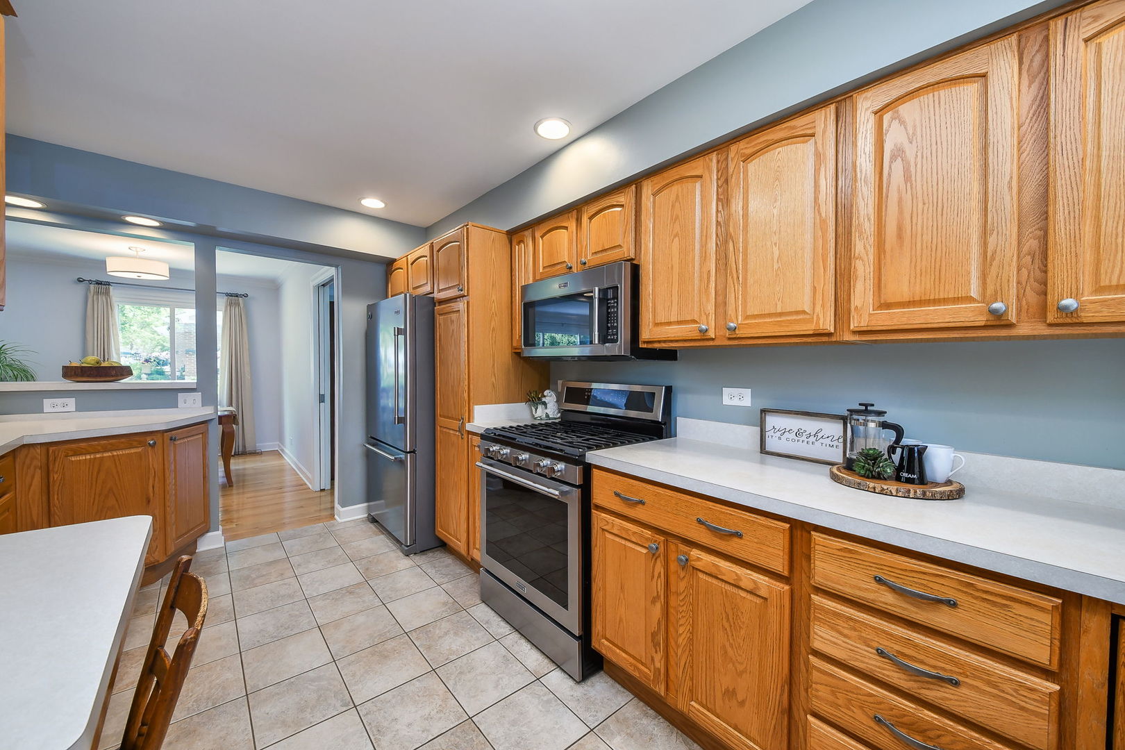 1541 Brittany Court Wheaton IL 60189