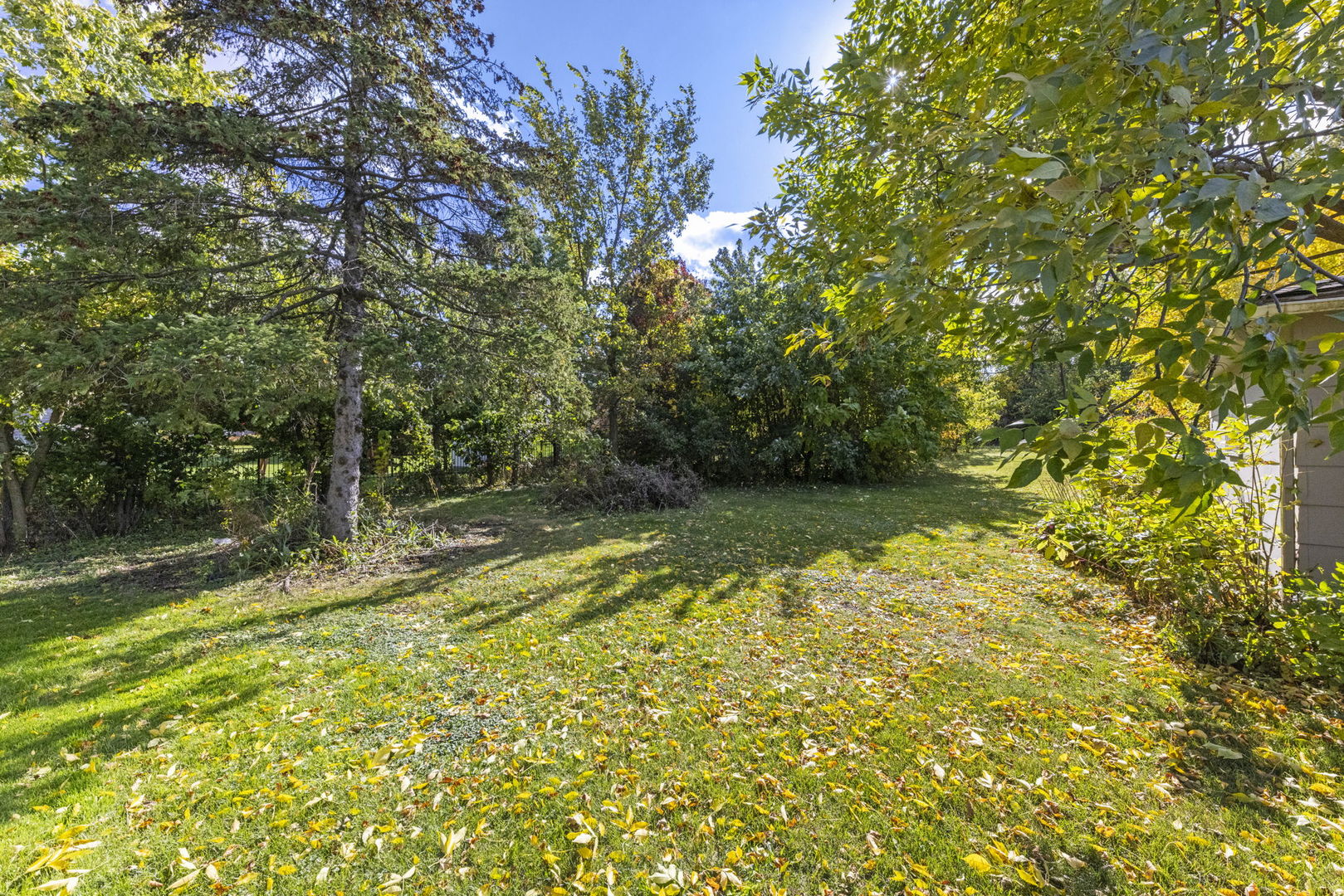 5825 Webster Street Downers Grove IL 60516