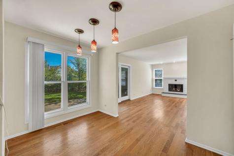 1100 Lockwood Drive Buffalo Grove IL 60089