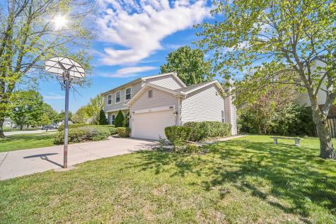 1100 Lockwood Drive Buffalo Grove IL 60089