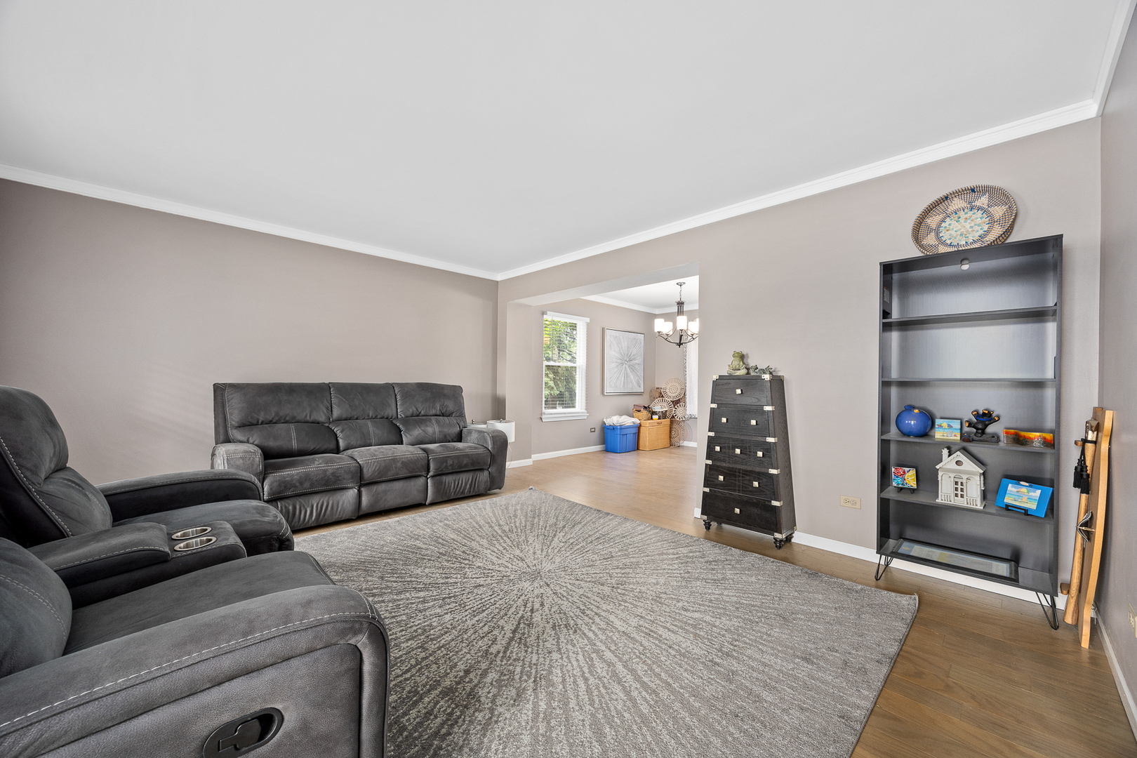 2 Buckboard Court Bolingbrook IL 60490