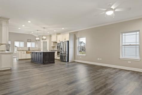 25911 West Ravine Woods Drive Channahon IL 60410