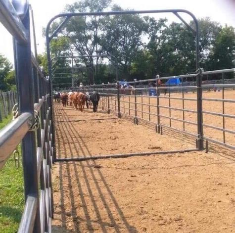 8206 Bull Valley Road Bull Valley IL 60098
