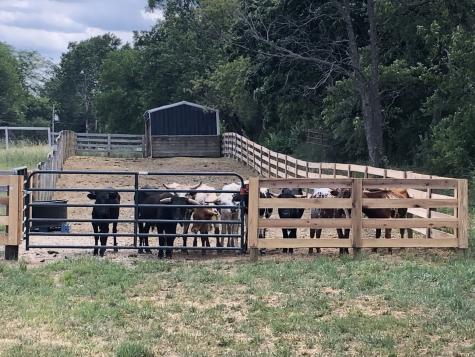 8206 Bull Valley Road Bull Valley IL 60098