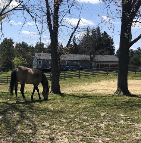 8206 Bull Valley Road Bull Valley IL 60098