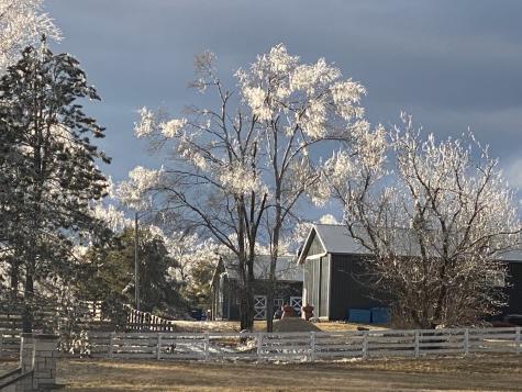 8206 Bull Valley Road Bull Valley IL 60098