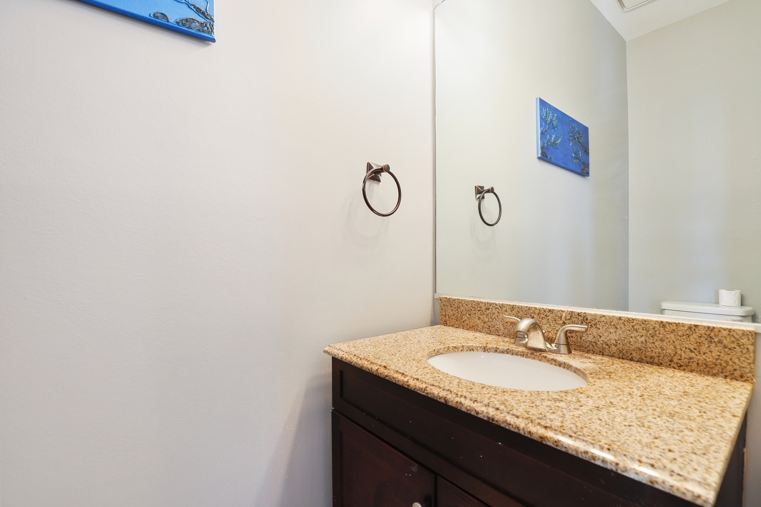 1004 Hamlet Road Naperville IL 60564