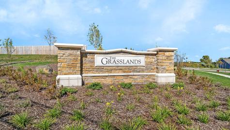 1203 Tiger Lily Drive Bartlett IL 60103