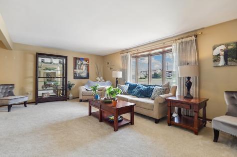 15622 South Trailside Drive Homer Glen IL 60491