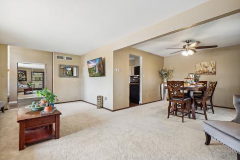 15622 South Trailside Drive Homer Glen IL 60491