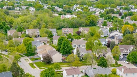 4 Forest Cove Court Streamwood IL 60107