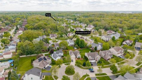 4 Forest Cove Court Streamwood IL 60107