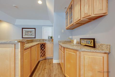 22087 West Vernon Ridge Drive Ivanhoe IL 60060