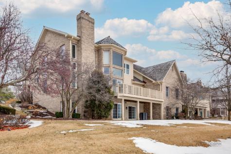 22087 West Vernon Ridge Drive Ivanhoe IL 60060