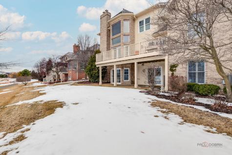 22087 West Vernon Ridge Drive Ivanhoe IL 60060