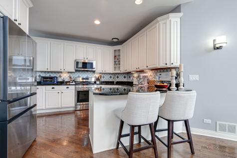 22087 West Vernon Ridge Drive Ivanhoe IL 60060
