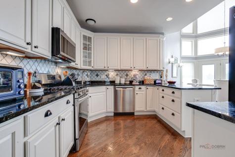 22087 West Vernon Ridge Drive Ivanhoe IL 60060