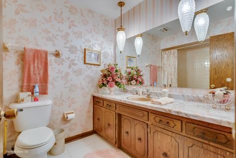 15110 Hollyhock Court Orland Park IL 60462