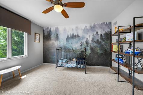 27137 West Fenview Drive Tower Lakes IL 60010