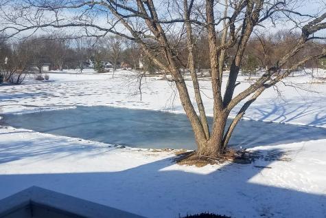 1620 Pheasant Trail Inverness IL 60067