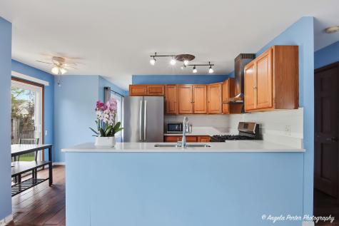 97 Bay View Lane Grayslake IL 60030