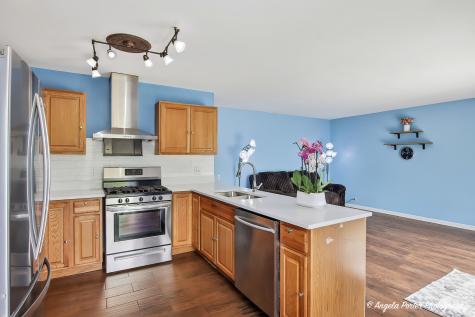 97 Bay View Lane Grayslake IL 60030