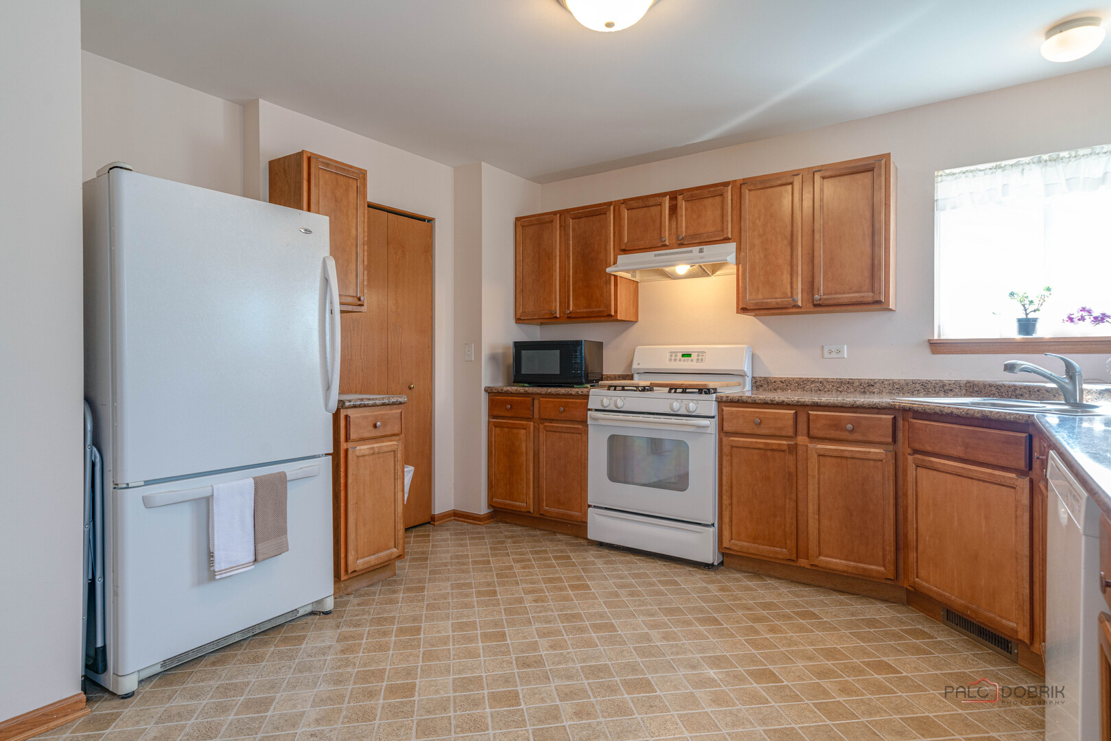 1094 Holly Drive Antioch IL 60002