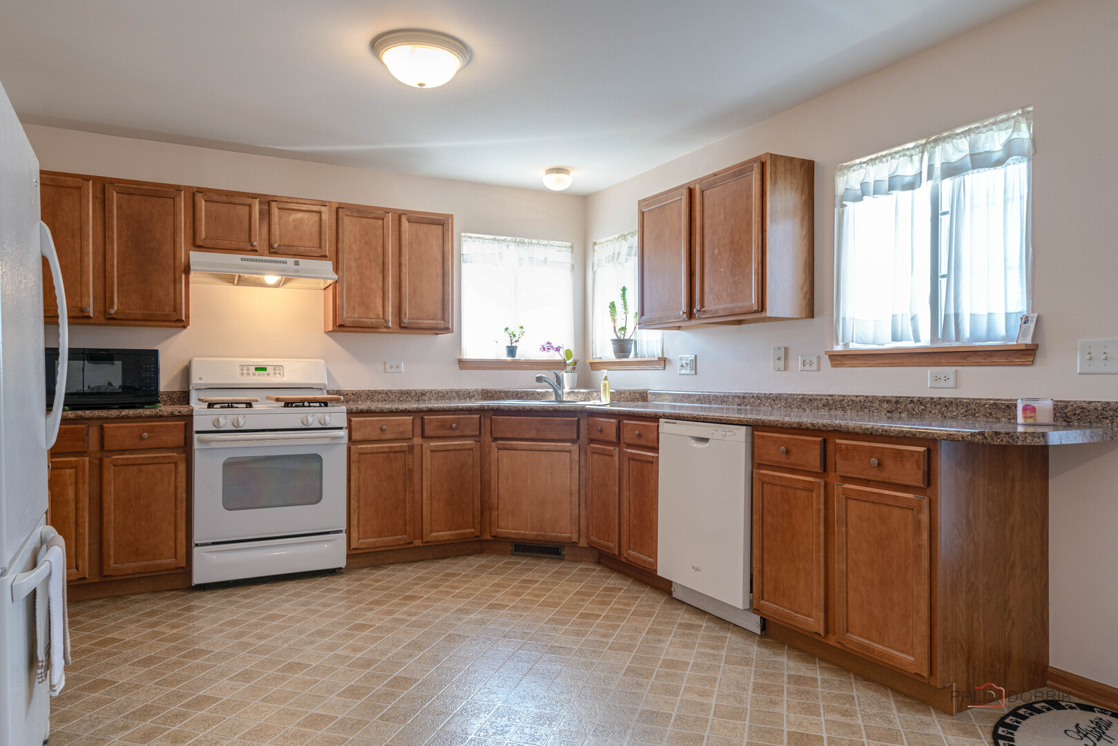1094 Holly Drive Antioch IL 60002