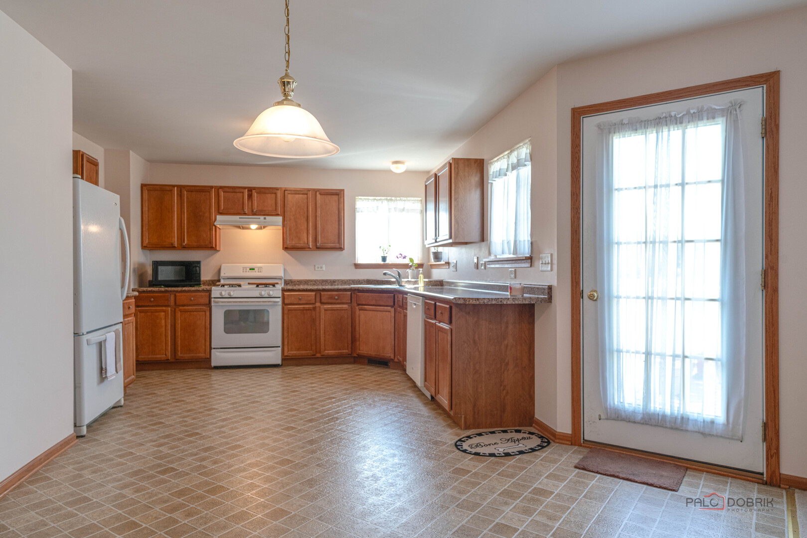 1094 Holly Drive Antioch IL 60002