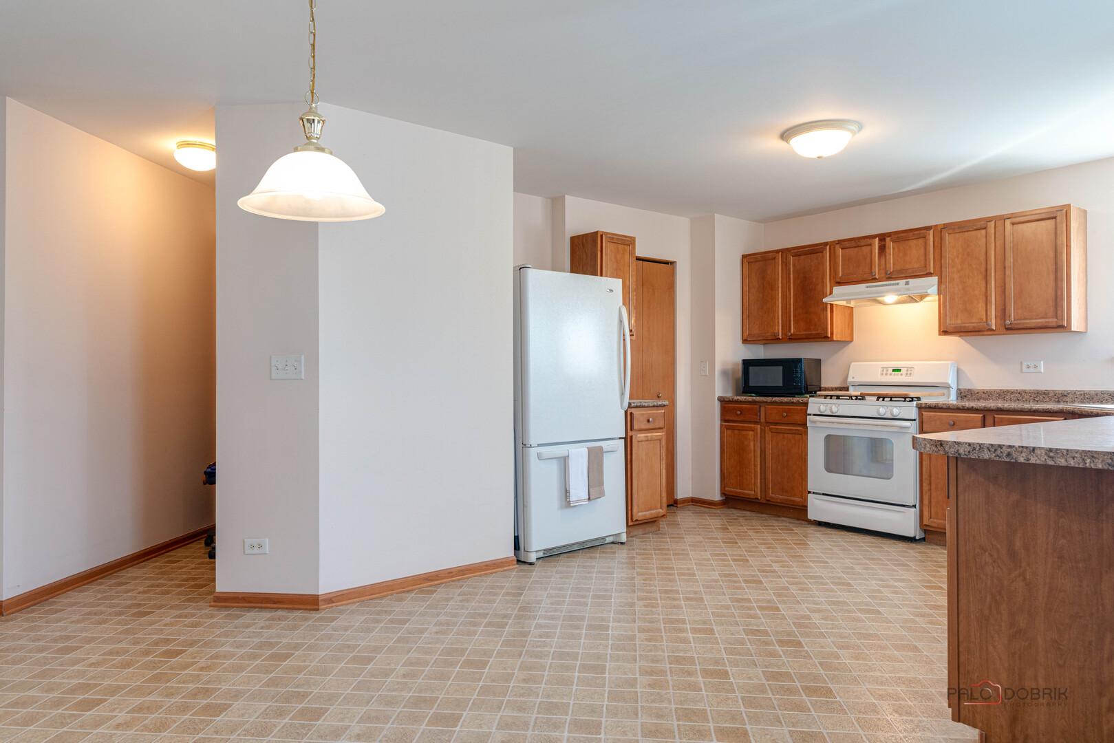 1094 Holly Drive Antioch IL 60002