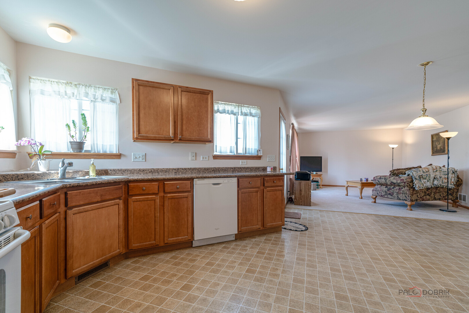 1094 Holly Drive Antioch IL 60002