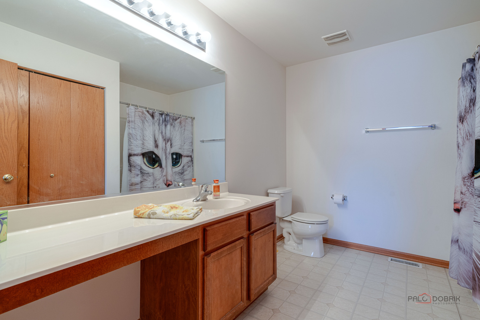 1094 Holly Drive Antioch IL 60002