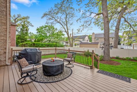 298 Cara Lane Wood Dale IL 60191