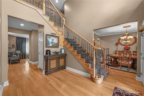 298 Cara Lane Wood Dale IL 60191