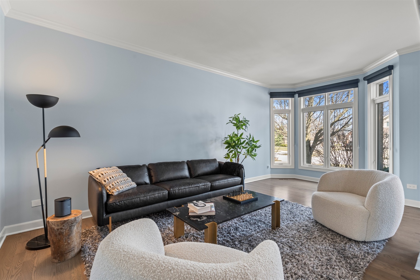 21170 Sage Brush Lane Mokena IL 60448
